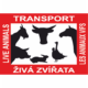 Transport živých zvířat
