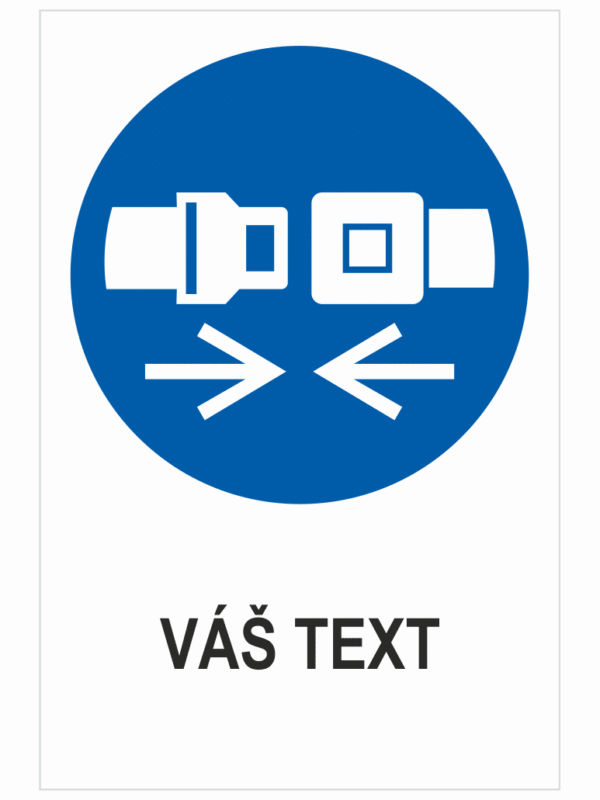 POUŽÍVANIE BEZPEČNOSTNÉHO PÁSU - Váš text