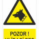 POZOR ! HLÍDACÍ PES - ISO 7010